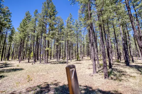 9586 Sierra Springs Way #7, Pinetop, AZ 85935
