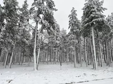 9586 Sierra Springs Way #7, Pinetop, AZ 85935