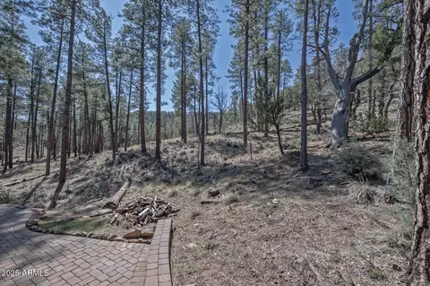 Exterior - 9167 N Circle Dr S, Pine, AZ 85544 photo 1 of 8
