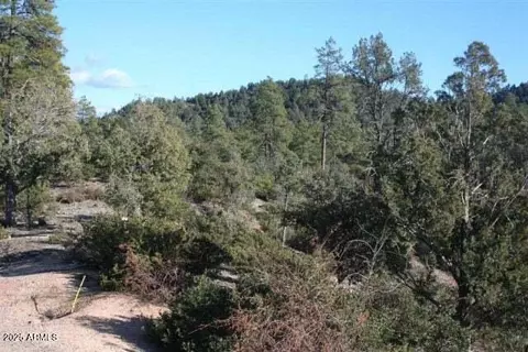 3103 S Monument Peak -- #168, Payson, AZ 85541
