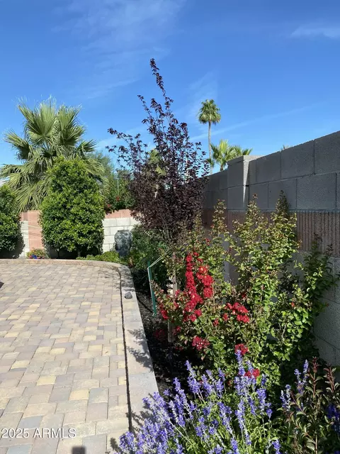 Exterior - 4432 E Carmel Ave, Mesa, AZ 85206 photo 5 of 7