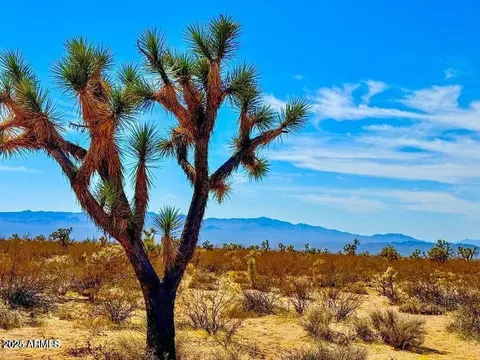 tbd Calva Rd 235 Acres -- #-, Yucca, AZ 86438