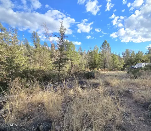 298 E Sharps Dr #22, Young, AZ 85554