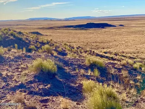 Carrizo Ranch Lot 297 41.17 Acres -- #-, Concho, AZ 85924