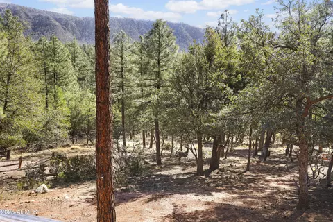 Other - 5869 E Arroyo Way, Pine, AZ 85544 photo 9 of 9