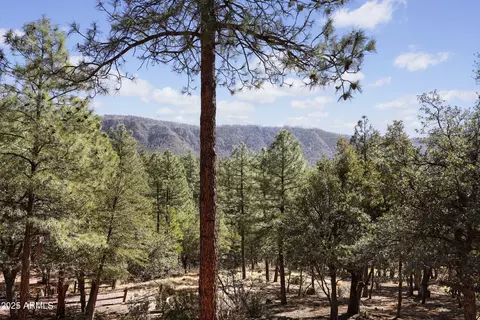 Other - 5869 E Arroyo Way, Pine, AZ 85544 photo 5 of 9