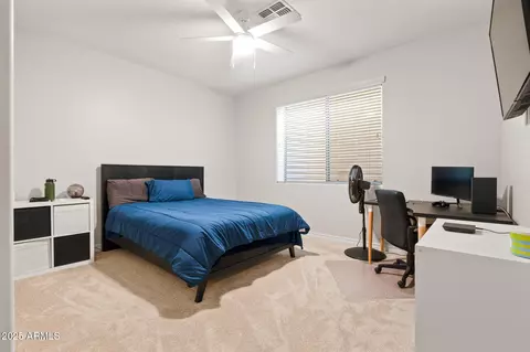 Bedroom - 2443 E Ficus Way, Gilbert, AZ 85298 photo 4 of 4