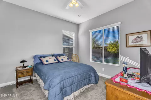 Bedroom - 2854 E Cashman Dr, Phoenix, AZ 85050 photo 3 of 4