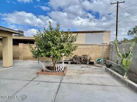 421 E Desert Dr, Phoenix, AZ 85042 photo 9