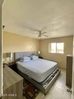 421 E Desert Dr, Phoenix, AZ 85042 photo 18