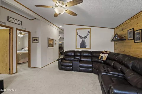 106 N Spring Rd, Payson, AZ 85541 photo 37