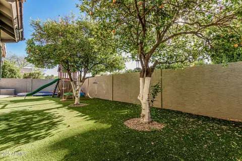 3917 E Des Moines St, Mesa, AZ 85205 photo 43