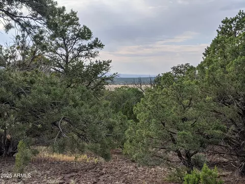 lot76 Dolly Dr #76, Vernon, AZ 85940
