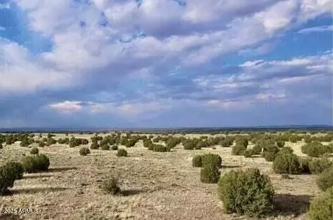 tbd 211-46-010f -- #-, Concho, AZ 85924