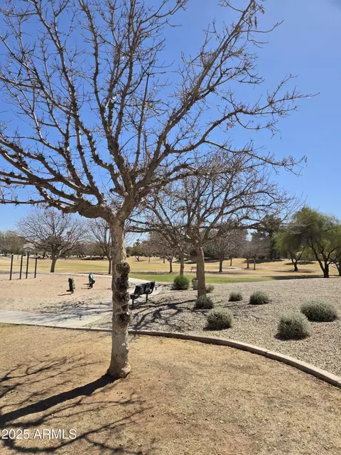 1345 S Corrine Dr, Gilbert, AZ 85296 photo 53