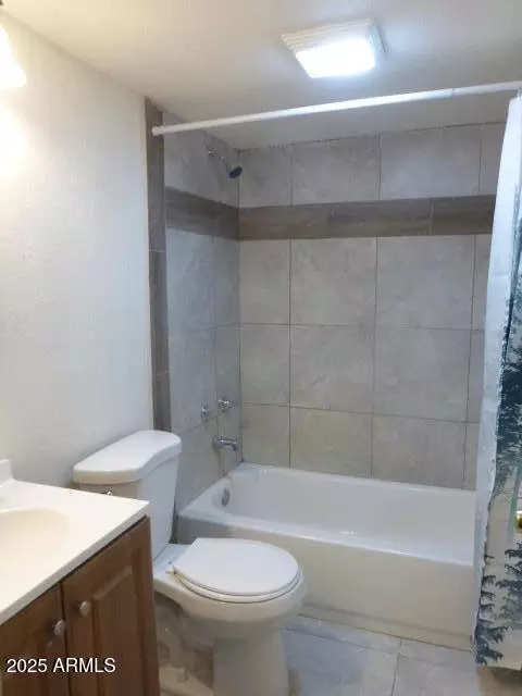 Bath - 443 W Ivanhoe Rd, Kearny, AZ 85137 photo 1 of 3