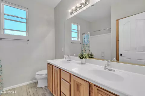 3419 E Rosa Ln, Gilbert, AZ 85297 photo 40