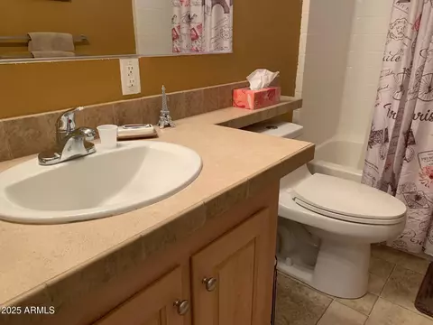 1231 W Roundup St, Apache Junction, AZ 85120 photo 16