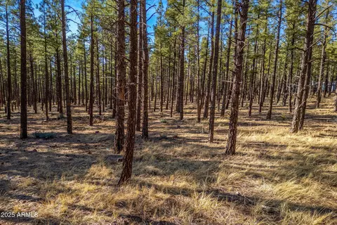tbd Wilderness Dr #036J, Pinetop-lakeside, AZ 85929