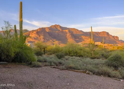 10860 E Cactus View Cir #10, Gold Canyon, AZ 85118