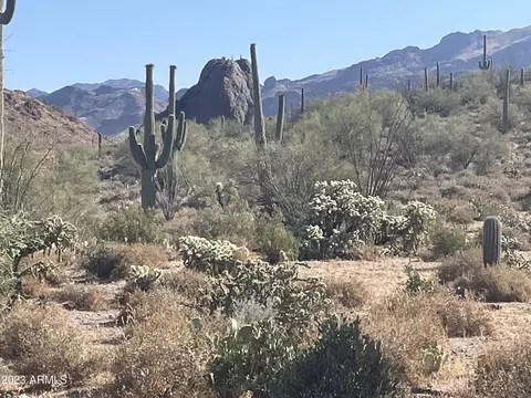 0 N Elephant Butte Road 015f Aka Rd #LOT 1, Queen Valley, AZ 85118