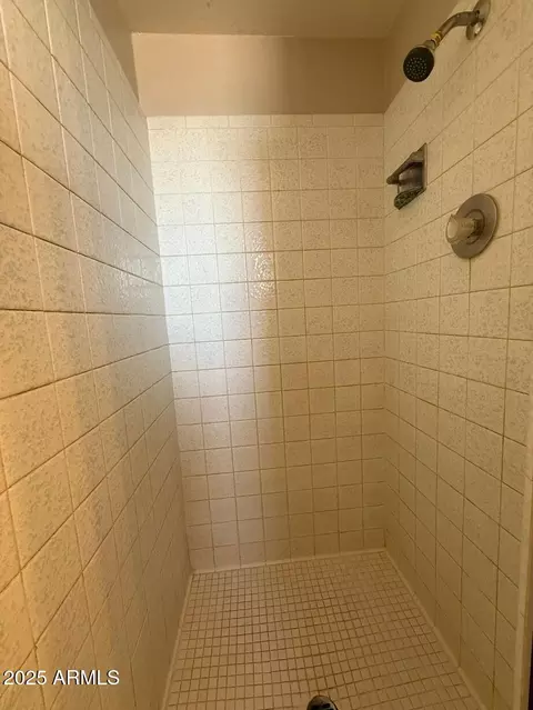 Bath - 1461 E Flossmoor Ave, Mesa, AZ 85204 photo 4 of 4