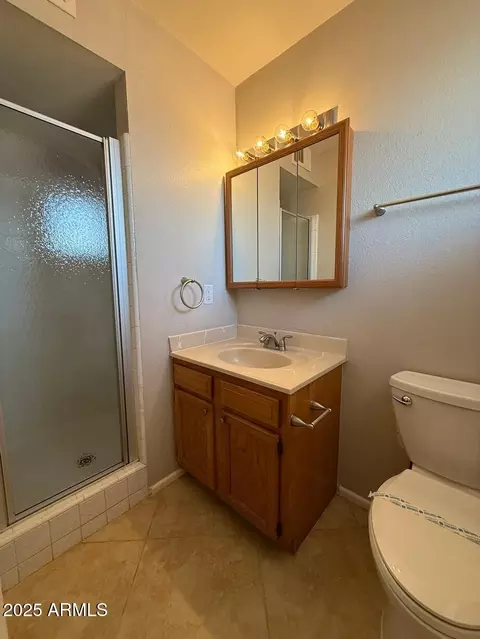 Bath - 1461 E Flossmoor Ave, Mesa, AZ 85204 photo 3 of 4