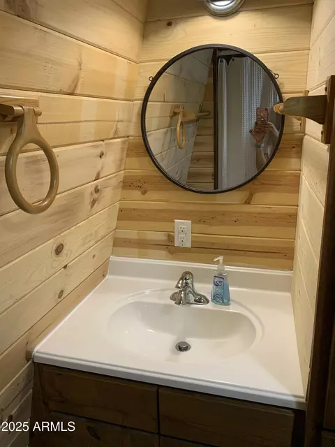 6460 W Randall Drive Dr, Pine, AZ 85544 photo 14