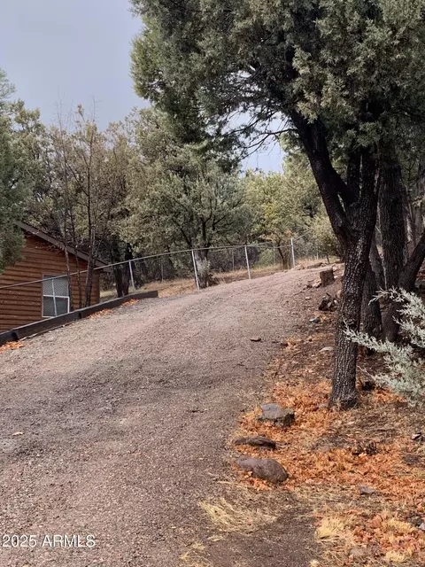 6460 W Randall Drive Dr, Pine, AZ 85544 photo 20