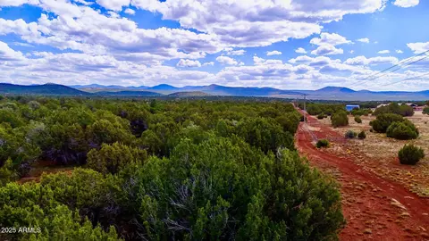 180 Co Rd 3148 Lot Apt 1 21 Acres -- #-, Vernon, AZ 85940