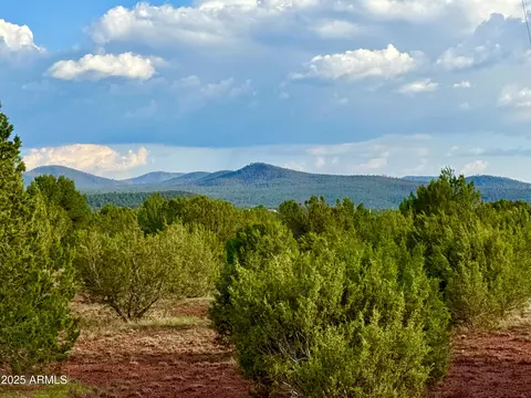 180 Co Rd 3148 Lot Apt 1 21 Acres -- #-, Vernon, AZ 85940
