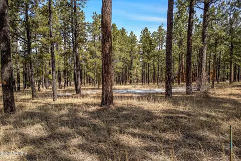 3 County Road N1062 -- #4, Greer, AZ 85927