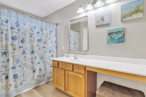 Bath - 1429 Elgin St, Gilbert, AZ 85295 photo 4 of 5