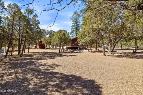 2137 Chevelon Rd, Overgaard, AZ 85933 photo 22