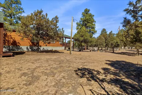 2137 Chevelon Rd, Overgaard, AZ 85933 photo 20