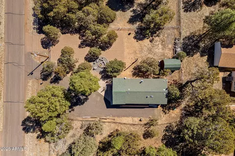 2137 Chevelon Rd, Overgaard, AZ 85933 photo 24