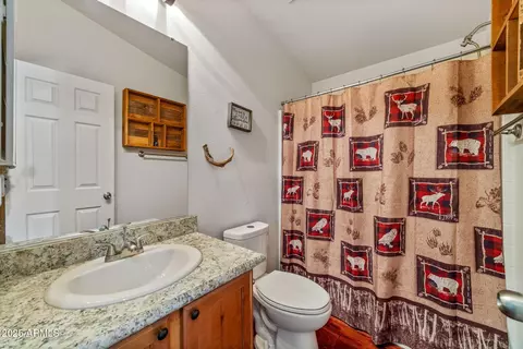 2137 Chevelon Rd, Overgaard, AZ 85933 photo 17