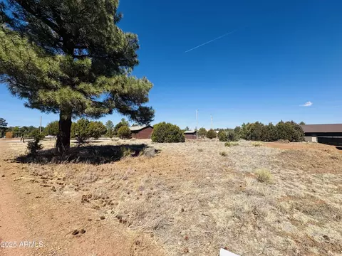 2212 Meadow Ln #234, Overgaard, AZ 85933