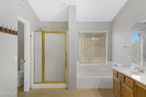 Bath - 9665 E Nido Ave, Mesa, AZ 85209 photo 3 of 5