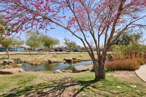 Other - 10122 E Supernova Dr, Mesa, AZ 85212 photo 22 of 40