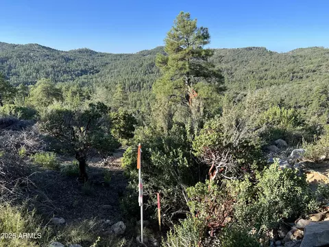NN E Privateer Road #-, Crown King, AZ 86343