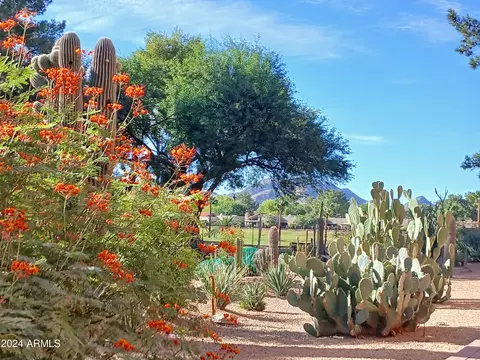 Exterior - 4303 E Cactus Rd S #329, Phoenix, AZ 85032 photo 10 of 17