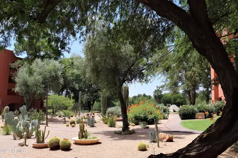 Exterior - 4303 E Cactus Rd S #329, Phoenix, AZ 85032 photo 14 of 17