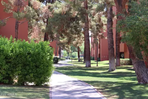Other - 4303 E Cactus Rd S #329, Phoenix, AZ 85032 photo 7 of 10