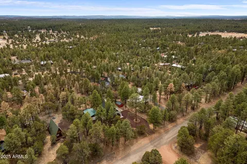 2149 Timber Dr, Overgaard, AZ 85933 photo 35