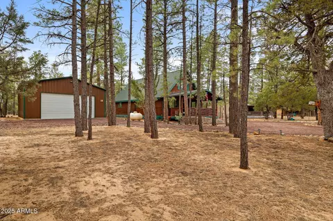 2149 Timber Dr, Overgaard, AZ 85933 photo 2