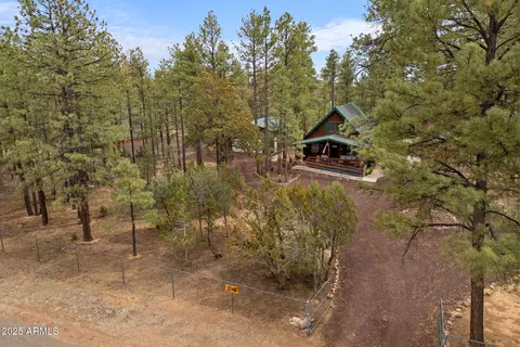 2149 Timber Dr, Overgaard, AZ 85933 photo 33