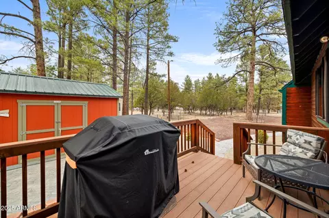 2149 Timber Dr, Overgaard, AZ 85933 photo 25