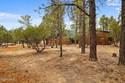 2149 Timber Dr, Overgaard, AZ 85933 photo 30