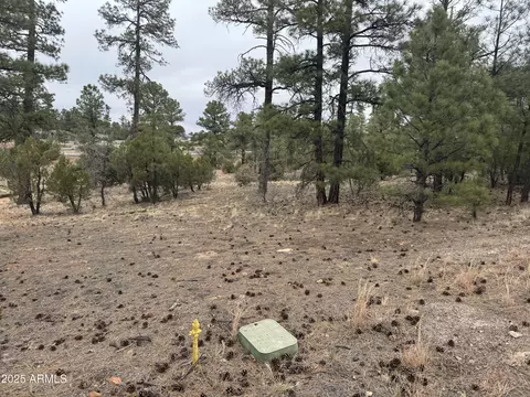 40 Timber Ridge Loop #40, Show Low, AZ 85901